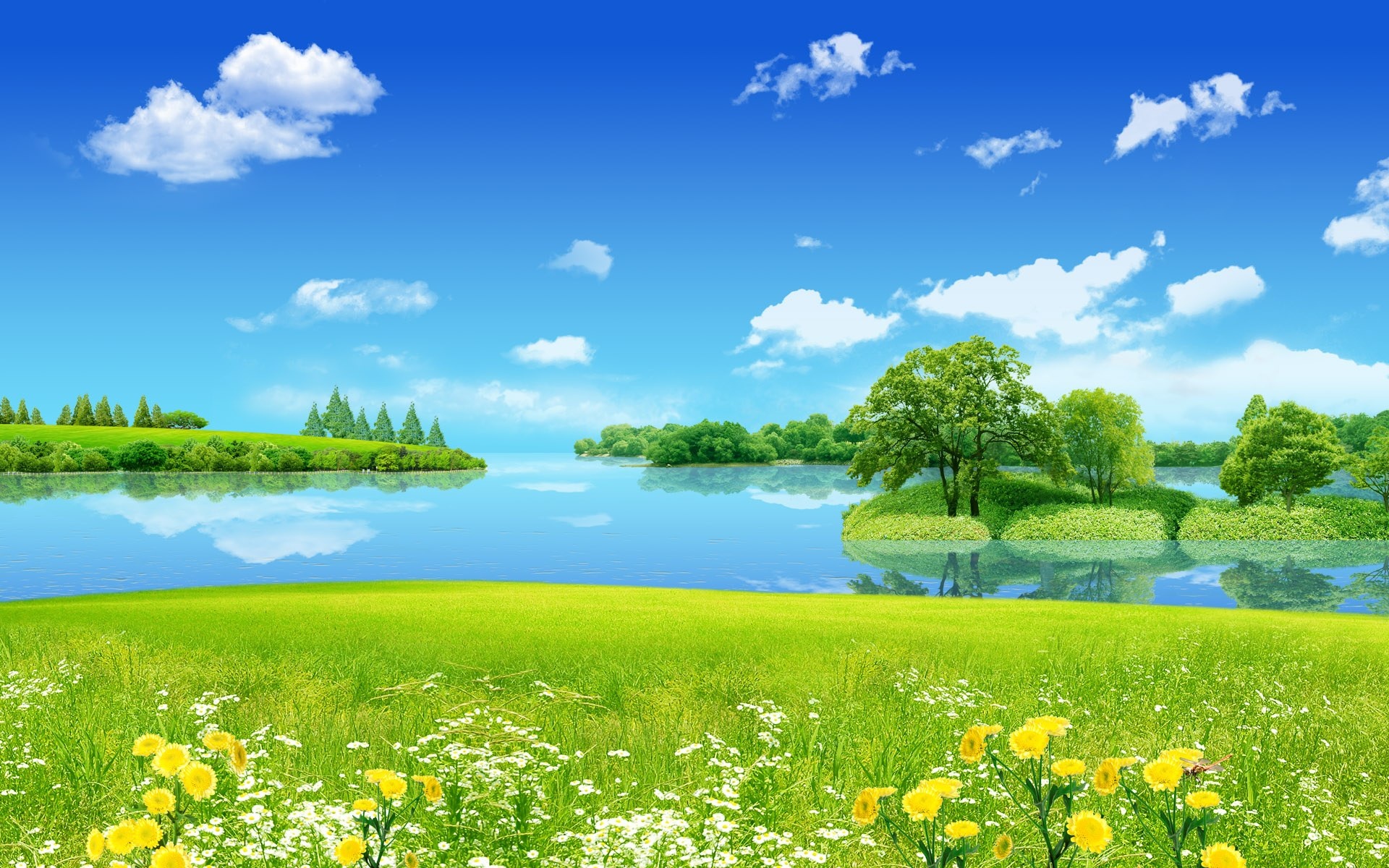 clear_flowers_field_landscape_with_lake_view-wide